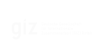 Deutsche Gesellschaft für Internationale Zusammenarbeit (GIZ)